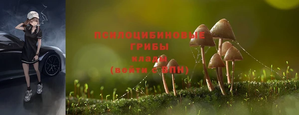 мет Алзамай