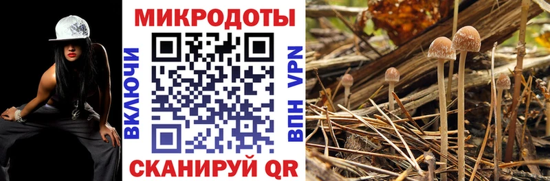 hydra ССЫЛКА  Бугуруслан  Галлюциногенные грибы MAGIC MUSHROOMS  даркнет сайт 
